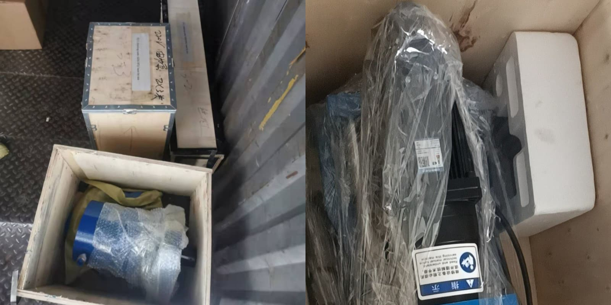 Equipo de logística profesional